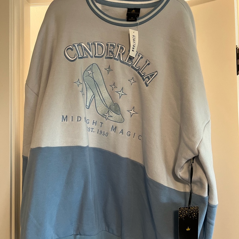 Never worn plus size Cinderella Panel crewneck sweatshirt.